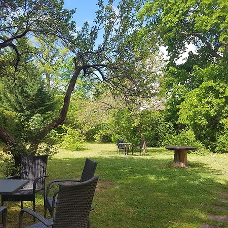 Pension Villa Inge Μπάντεν Εξωτερικό φωτογραφία