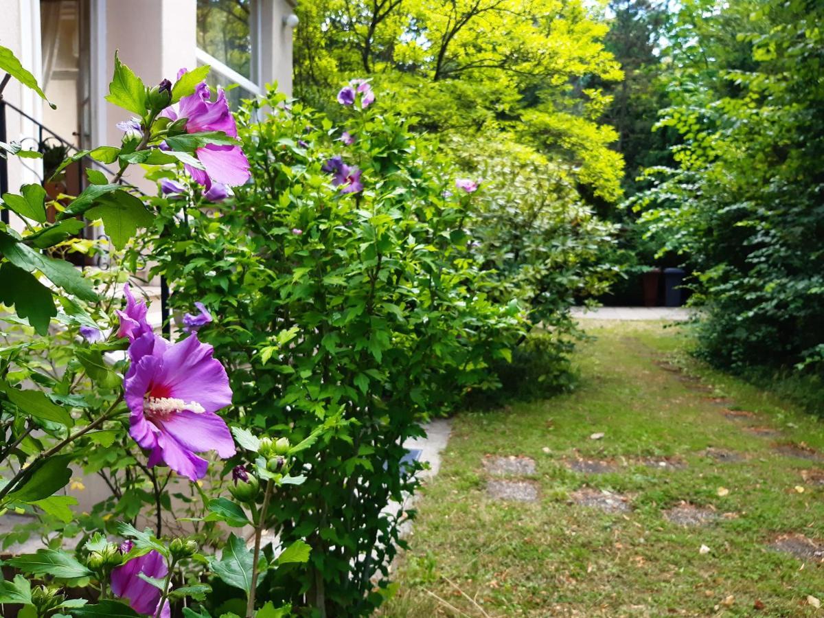 Pension Villa Inge Μπάντεν Εξωτερικό φωτογραφία