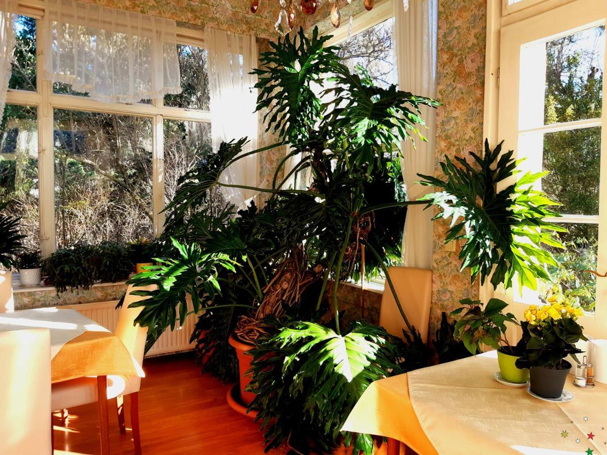 Pension Villa Inge Μπάντεν Εξωτερικό φωτογραφία