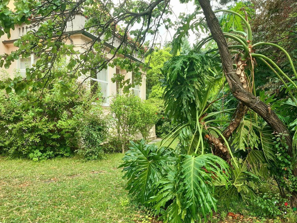Pension Villa Inge Μπάντεν Εξωτερικό φωτογραφία